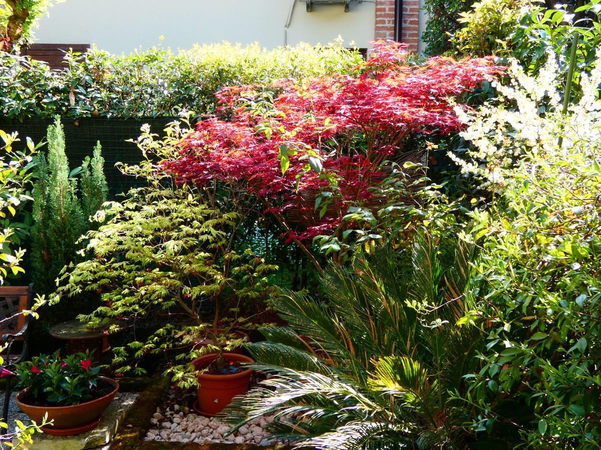 Garden Sweet House Desenzano Apartment Десенцано дел Гарда Екстериор снимка